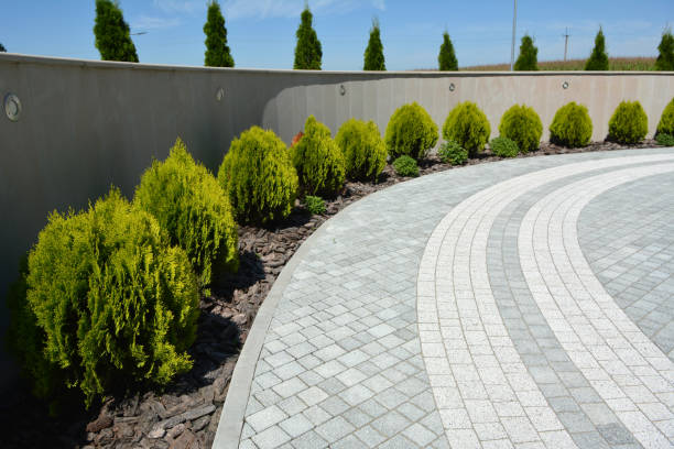 Best Driveway Repair Near Me  in Dexter, OR